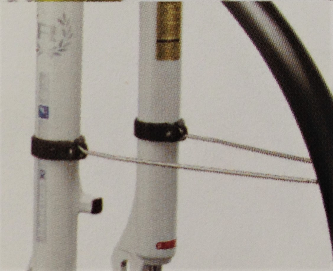 img_49101HopdmBBFMkSu