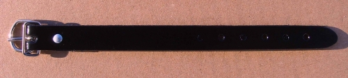 395_p1HjGaPtNzNPREK
